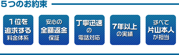 �T�̂���